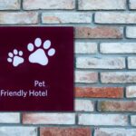 Pet-friendly Hotel:come accogliere gli amici a quattro zampe