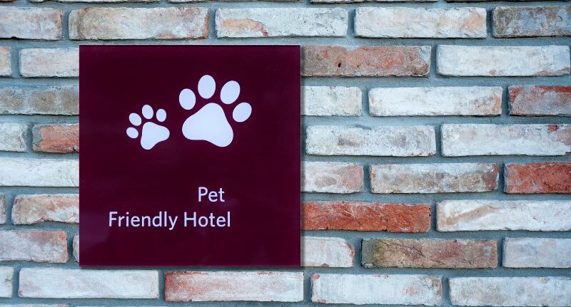 Pet-friendly Hotel:come accogliere gli amici a quattro zampe
